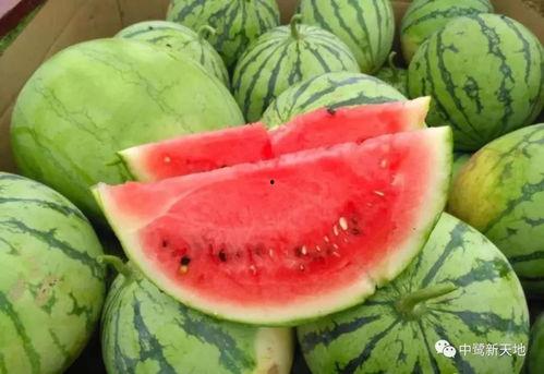 长春今日吃瓜事件视频最新,视频揭秘惊人真相