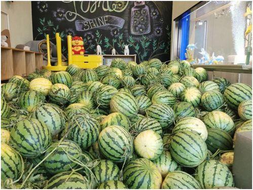 长春今日吃瓜事件视频最新,视频揭秘惊人真相