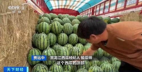 热点吃瓜网,揭秘娱乐圈最新热点事件,带你领略娱乐圈风云变幻